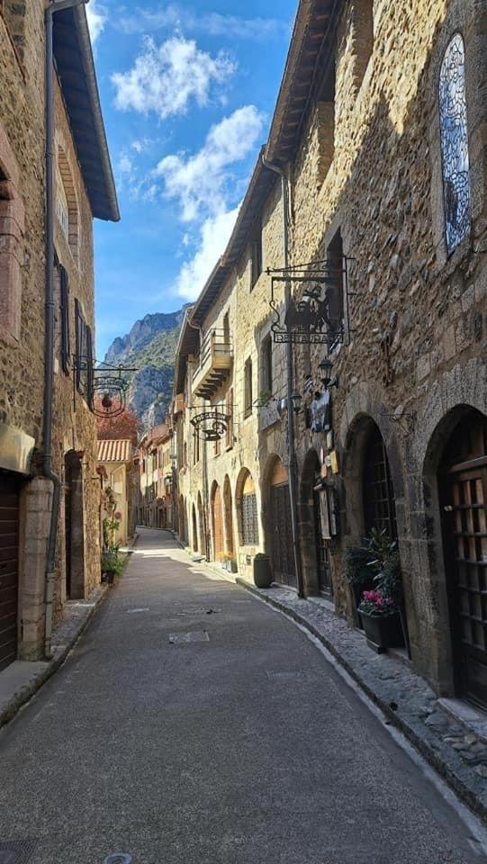 Maison Les Ramparts Villefranche-de-Conflent Bagian luar foto